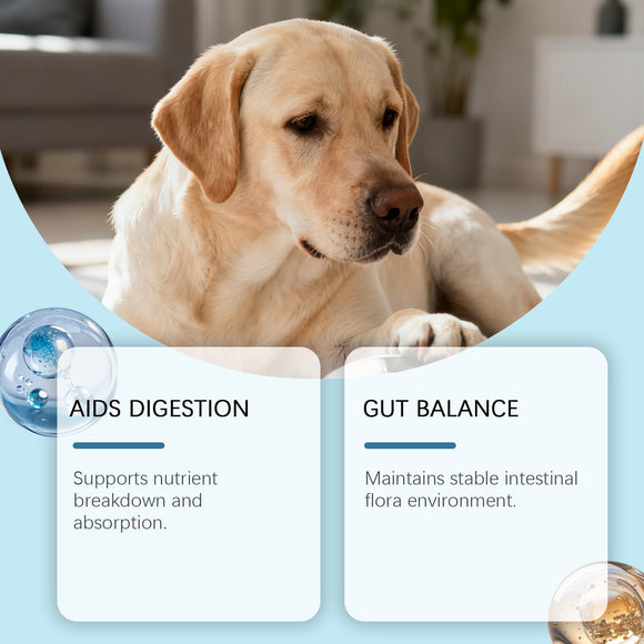 Gránulos Blandos para la Salud Intestinal Canina