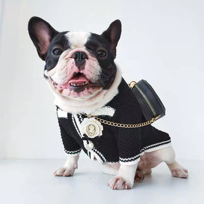 Suéter Cardigan Primavera para Perros Pequeños - Schnauzer y Pomerania