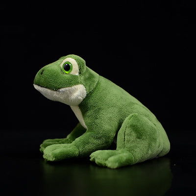 Figura de Rana Realista - Muñeco Animal para Coleccionar y Regalar - Image 5