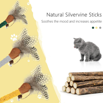 Juguetes para Gatos con Catnip y Plumas - Palitos Masticables Silvervine para Limpiar Dientes - Image 7