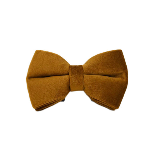 Collar de Perro Terciopelo Suave - Image 10