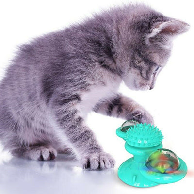 Gray tabby cat playing with a teal windmill cat toy featuring a suction cup base, textured ball, and colorful spinning paddles. - Image 5