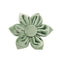 Flower2