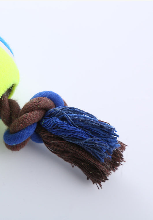 Juguete Interactivo para Perros con Cuerda y Pelota de Tenis Resistente - Image 15