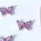 07 Mariposa