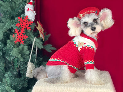 Suéter Navideño para Perros en Lana Premium - Image 11
