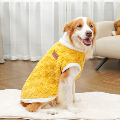 Ropa de Algodón para Mascotas - Colección Otoño Invierno - Image 3