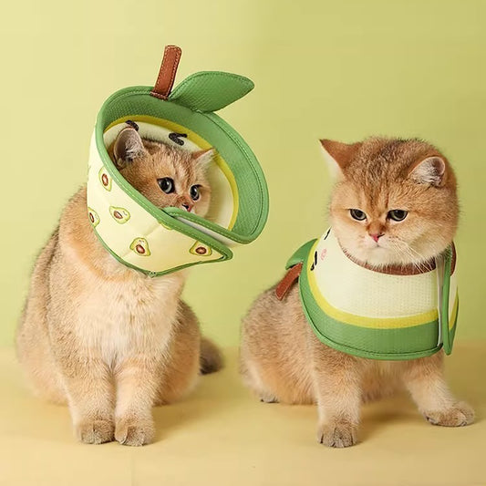 Collar Isabelino Suave para Gatos - Recuperación Postquirúrgica