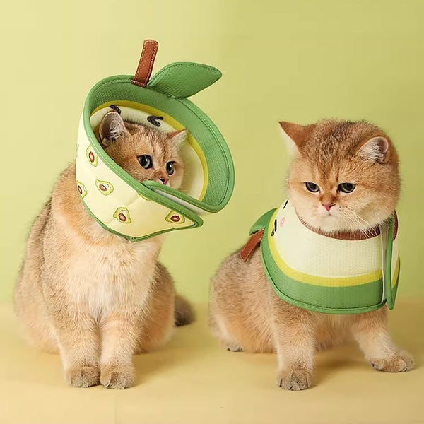 Collar Isabelino Suave para Gatos - Recuperación Postquirúrgica