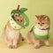 Collar Isabelino Suave para Gatos - Recuperación Postquirúrgica