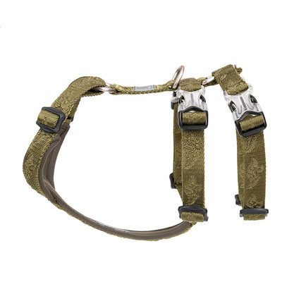 Arnés de Paseo para Perro con Correa Pectoral - Image 10