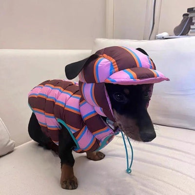 Chaleco Rayado para Mascotas Otoño e Invierno - Image 9