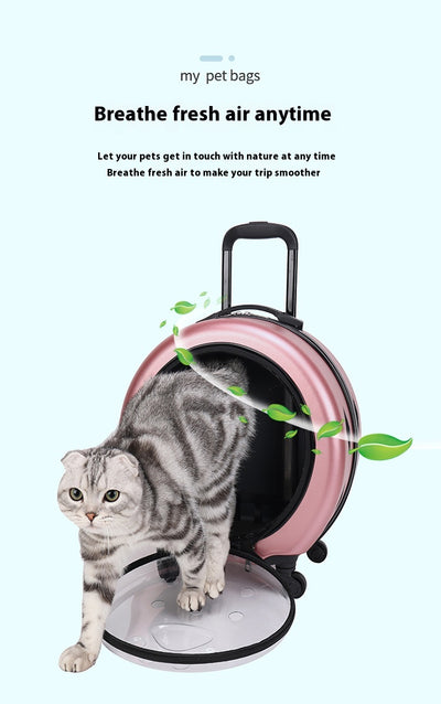 Bolsa Transportadora Transparente Reforzada para Mascotas - Gatos y Perros - Image 15
