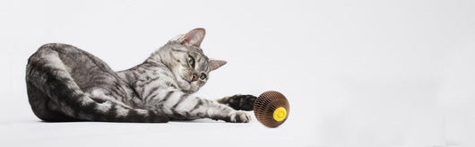 Pelota de Catnip Rellenable para Gatos - Juguete Interactivo Antiaburrimiento - Image 8