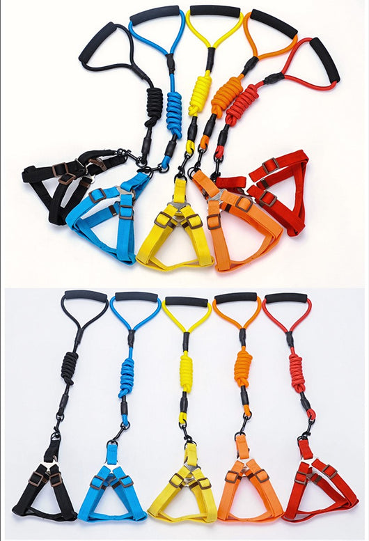 Set de Arnés y Correa de Tracción con Mango Acolchado para Mascotas - Image 14