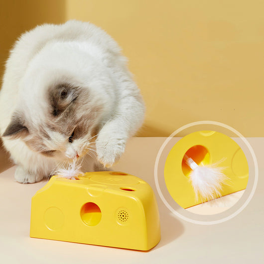 Yellow cheese-shaped electric cat toy with a white feather attachment, shown with three AA batteries and a replacement feather. - Image 11