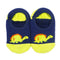 Figure 10 Small Tortoise 2224