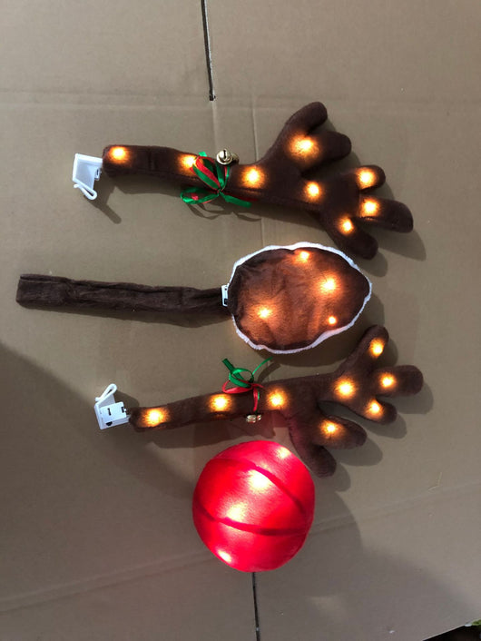 Astas LED Luminosas para Auto - Decoración Navideña - Image 14