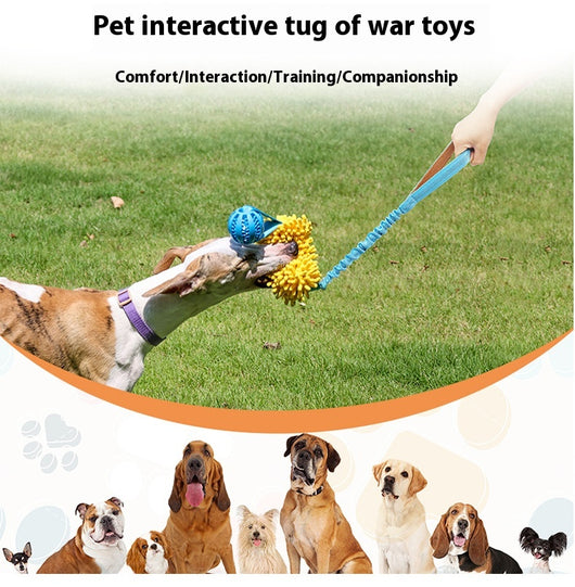 Juguete Interactivo de Cuerda Resistente para Perros - Tirador Masticable - Image 8