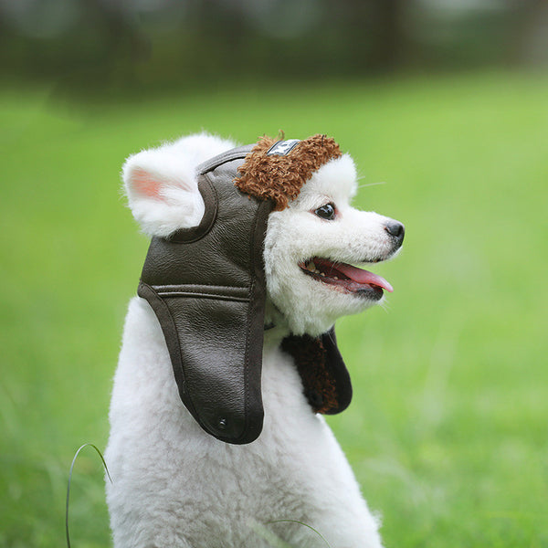 Ropa de Abrigo para Perros Otoño Invierno