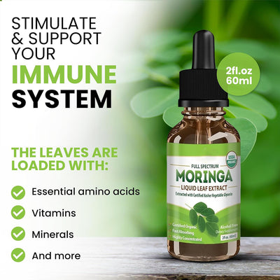 Gotas de Moringa - Suplemento Nutricional Concentrado - Image 4