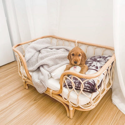 Cama para Mascotas de Ratán Tejido a Mano - Sofá Cómodo para Perros - Image 5