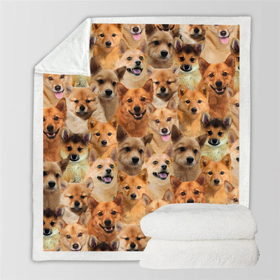 Manta Flanela Estampada para Perros de Moda - Image 20