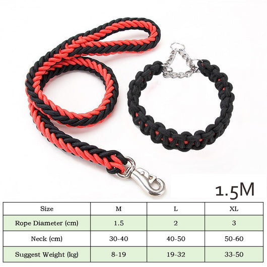 Collares y Correas para Perros de Nylon Reforzado - Entrenamiento y Paseos - Image 15