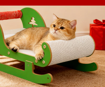Rascador Multifuncional de Cartón Corrugado para Gatos - Image 14