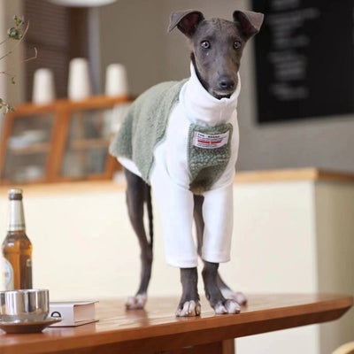 Ropa para Perros Pequeños y Medianos Whybit - Accesorios para Galgos - Image 13