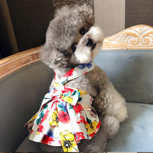 Ropa de Algodón 100% Estampada para Mascotas - Schnauzer, Pomerania y Gatos - Image 8