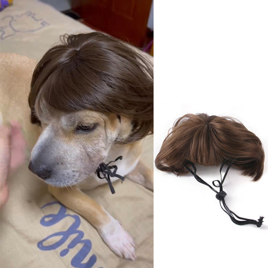 Peluca Disfraz para Mascotas - Halloween y Navidad - Image 13