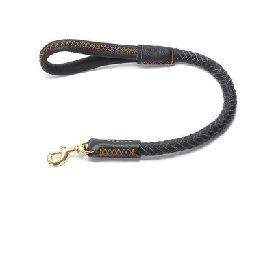 Correa de Perro Reforzada con Cadena Antiroturas para Razas Medianas y Grandes - Image 4
