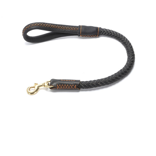 Correa de Perro Reforzada con Cadena Antiroturas para Razas Medianas y Grandes - Image 4