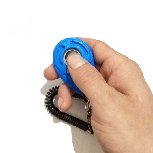 Turquoise dog training clicker with a black button and paw print, attached to a black coiled lanyard with a silver lobster clasp. - Image 14