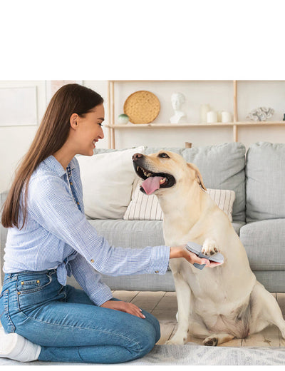Limador de Uñas para Perros y Gatos - Herramienta de Aseo Profesional Desmontable - Image 9