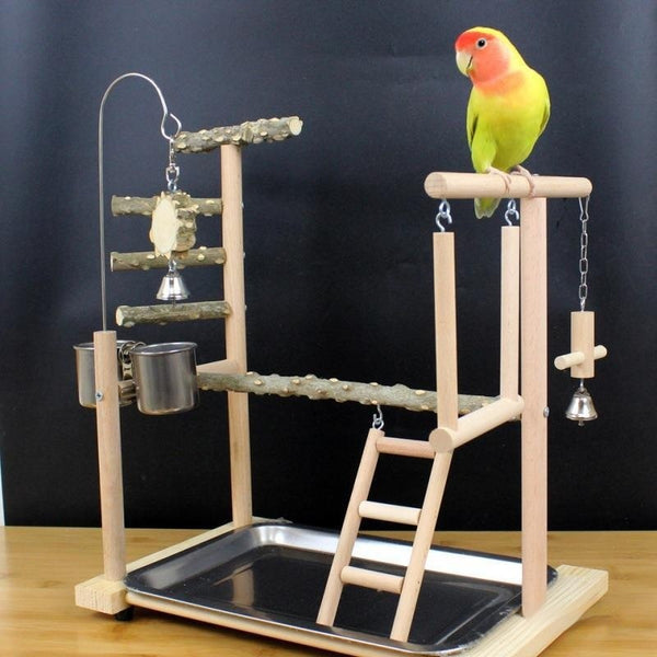 Percha Madera para Loros y Pájaros Exóticos con Diseño Natural