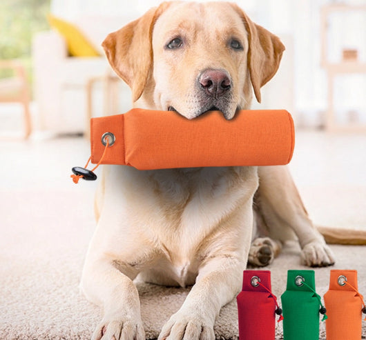Juguete Descompresivo para Perros con Personalización - Image 12
