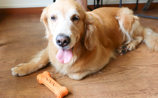 Juguete Masticable en Forma de Hueso para Perros Agresivos - Goma Natural Resistente - Image 17