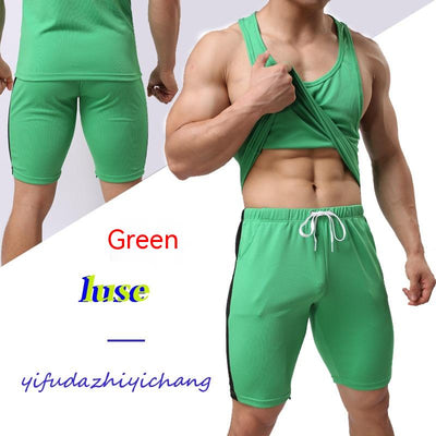 Pantalones Deportivos Técnicos con Combinación de Colores y Secado Rápido - Image 11
