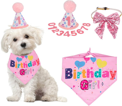 Sombrero de Cumpleaños para Perros con Números y Bandana - Image 2