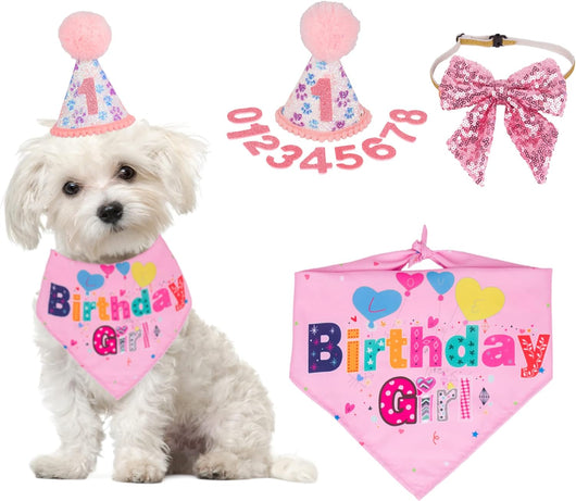 Sombrero de Cumpleaños para Perros con Números y Bandana - Image 2