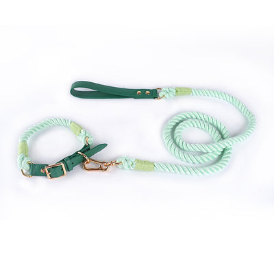 Juego de Collar y Correa para Perros Medianos y Grandes en Cuero y Algodón Tejido - Image 9