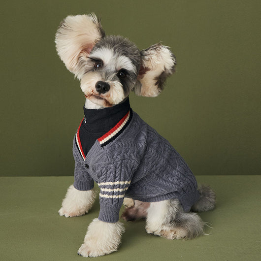 Suéter de Moda para Perros Otoño Invierno - Marca Trendy - Image 4