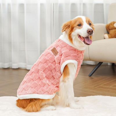 Ropa de Algodón para Mascotas - Colección Otoño Invierno - Image 14