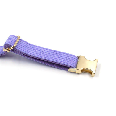 Collar para Perro Terciopelo Púrpura Taro Simple - Image 7