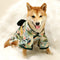 Traje Tradicional Kimono para Perros Shiba Inu y Gatos - Ropa Asiática Tang para Mascotas Pequeñas y Medianas