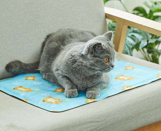 Tapete Refrigerante para Gatos - Colchoneta Fresca de Verano - Image 9