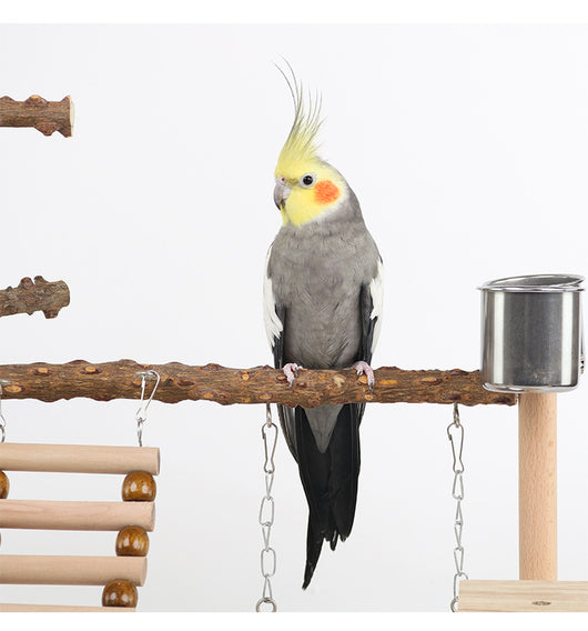 Multi-level natural wood parrot play stand with perches, ladder, swings, and two stainless steel feeding cups. - Image 18