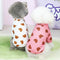Ropa Ligera para Perros Pequeños - Colección Primavera Verano